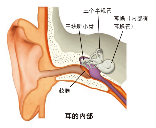 圖片1.png