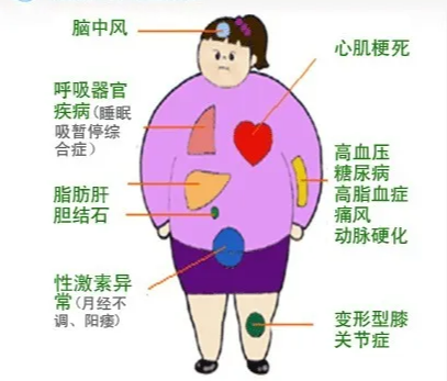 圖片2.png